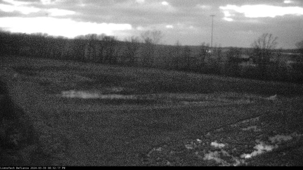 Cell 2_24-03-30_20-32-17-60