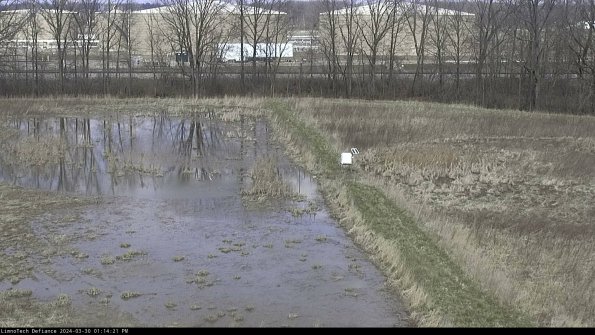 Cell 3 to 4_24-03-30_13-14-22-15