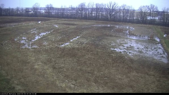 Cell 3_24-03-30_07-39-14-17