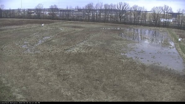 Cell 3_24-03-30_14-21-07-15