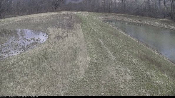 Cell 4 to Basin_24-03-30_13-15-06-20