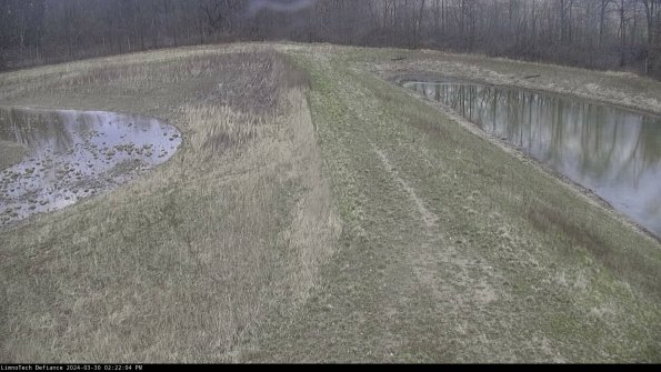 Cell 4 to Basin_24-03-30_14-22-05-17