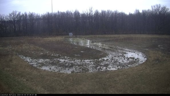 Cell 4_24-03-30_07-39-42-16