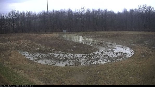 Cell 4_24-03-30_08-46-41-16