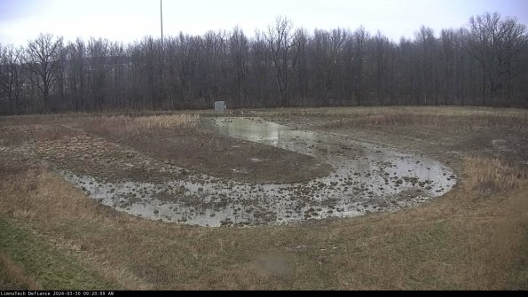 Cell 4_24-03-30_09-20-10-17