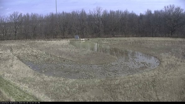 Cell 4_24-03-30_12-07-38-16