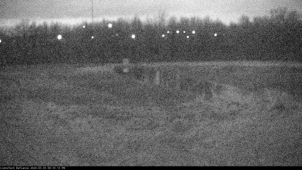 Cell 4_24-03-30_20-33-13-49