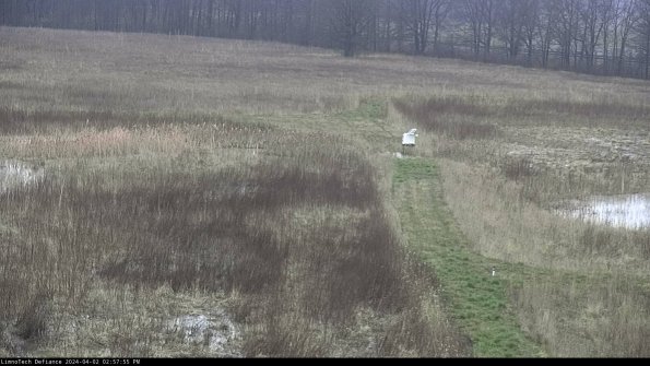 Cell 1 to 2_24-04-02_14-57-55-50