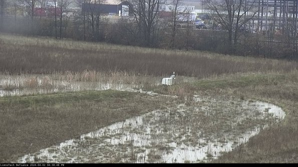 Cell 2 to 3_24-04-02_16-38-48-60