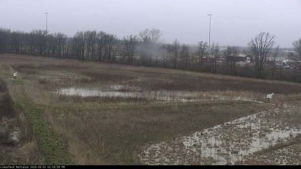 Cell 2_24-04-02_14-58-08-51