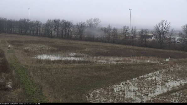 Cell 2_24-04-02_16-38-35-56