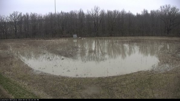 Cell 4_24-04-02_14-25-34-52