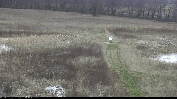 Cell 1 to 2_24-04-03_10-30-07-49