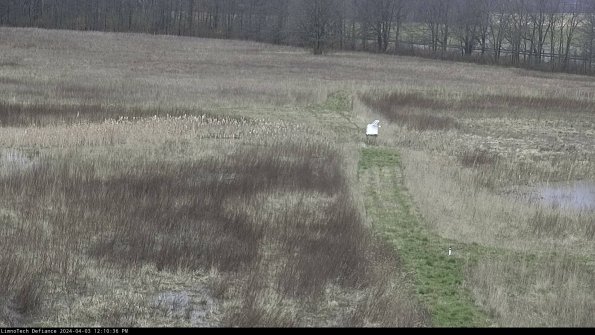 Cell 1 to 2_24-04-03_12-10-36-51