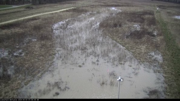 Cell 1_24-04-03_07-08-58-49