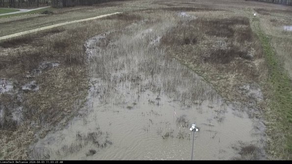 Cell 1_24-04-03_11-03-23-50