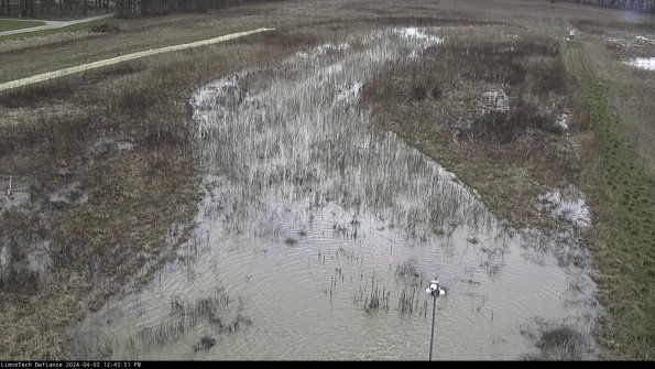 Cell 1_24-04-03_12-43-51-51