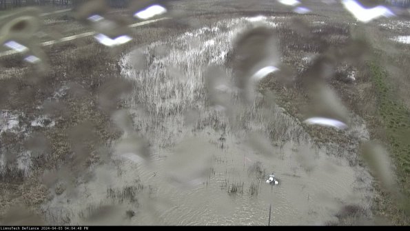 Cell 1_24-04-03_16-04-48-51