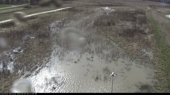 Cell 1_24-04-03_17-11-47-51