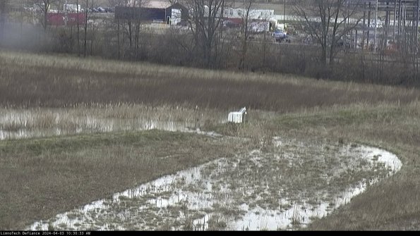 Cell 2 to 3_24-04-03_10-30-33-65