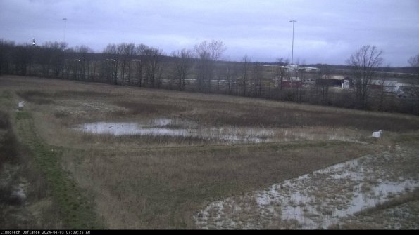 Cell 2_24-04-03_07-09-25-55