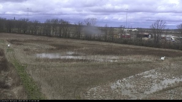 Cell 2_24-04-03_11-03-50-52