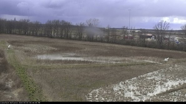 Cell 2_24-04-03_16-38-44-56