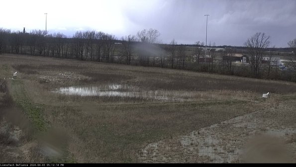 Cell 2_24-04-03_17-12-14-51