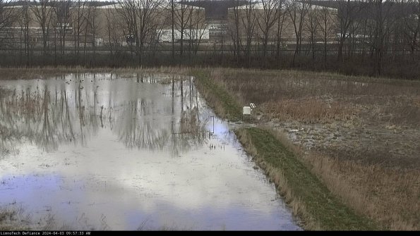 Cell 3 to 4_24-04-03_09-57-33-50