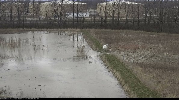 Cell 3 to 4_24-04-03_16-39-26-50