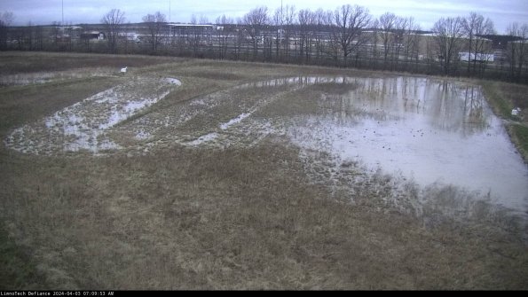 Cell 3_24-04-03_07-09-53-51