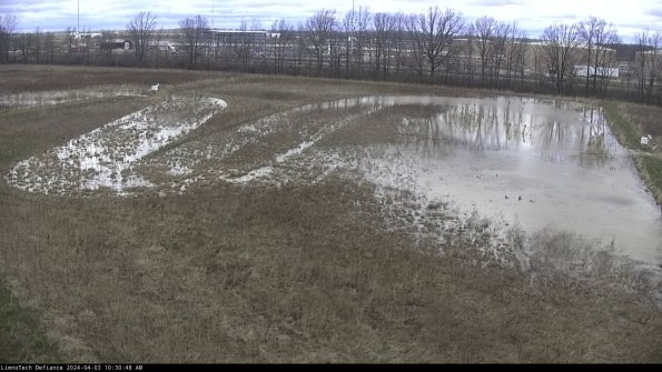 Cell 3_24-04-03_10-30-48-50