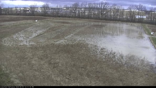 Cell 3_24-04-03_12-11-16-75