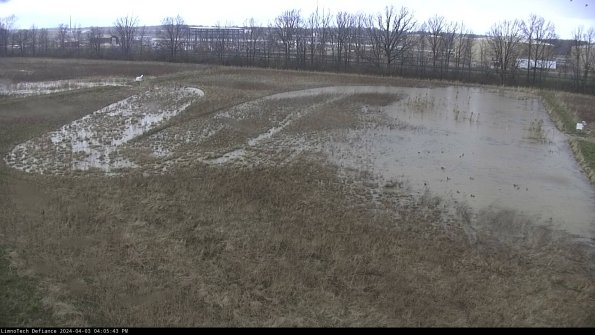 Cell 3_24-04-03_16-05-43-50