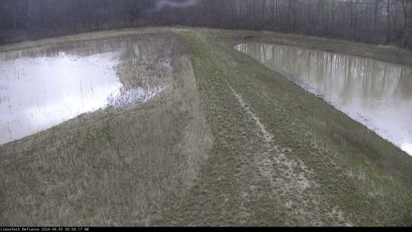 Cell 4 to Basin_24-04-03_09-58-17-51