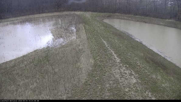 Cell 4 to Basin_24-04-03_10-31-46-53