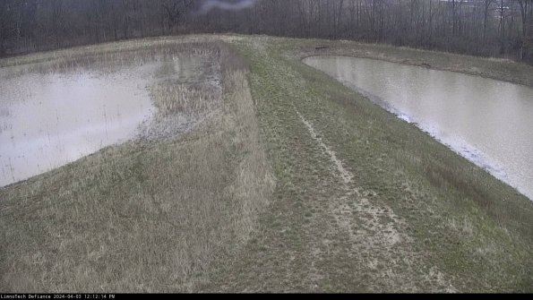 Cell 4 to Basin_24-04-03_12-12-14-51