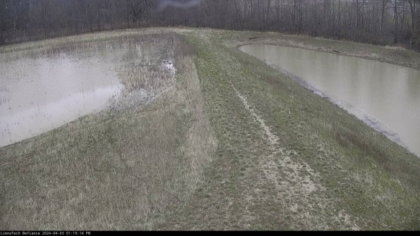 Cell 4 to Basin_24-04-03_13-19-14-51