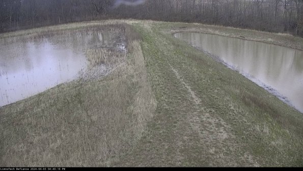 Cell 4 to Basin_24-04-03_16-40-10-51