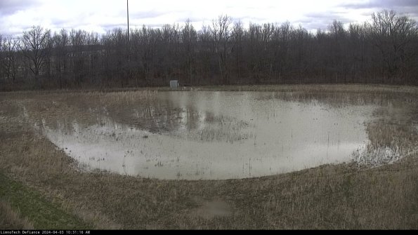 Cell 4_24-04-03_10-31-16-50