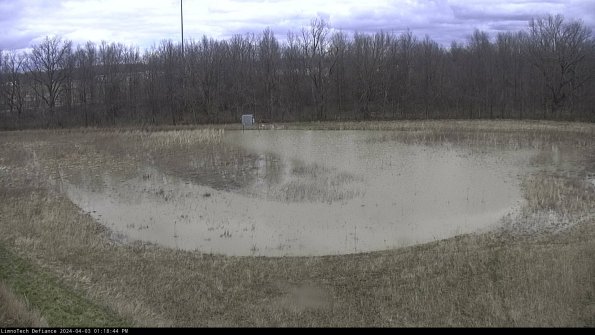 Cell 4_24-04-03_13-18-44-51