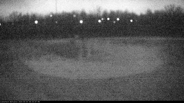 Cell 4_24-04-03_20-34-07-52