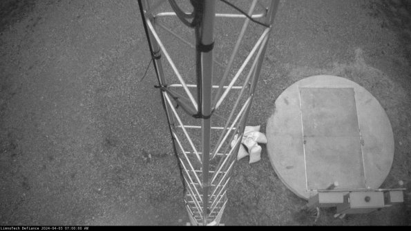 Hatch_24-04-03_07-00-00-55