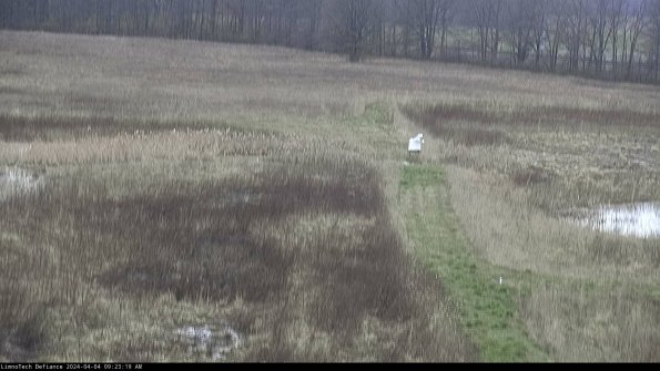 Cell 1 to 2_24-04-04_09-23-19-49