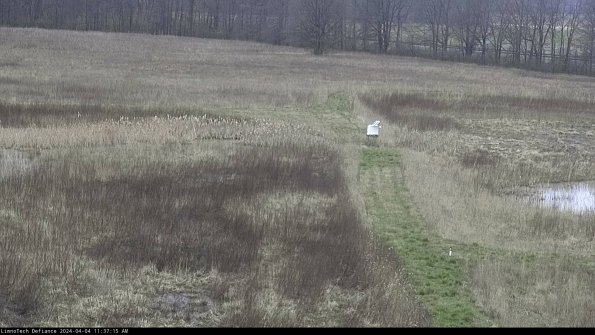 Cell 1 to 2_24-04-04_11-37-15-51