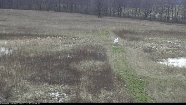 Cell 1 to 2_24-04-04_16-38-45-53