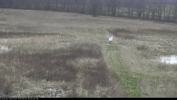 Cell 1 to 2_24-04-04_17-45-43-50