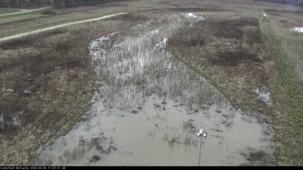 Cell 1_24-04-04_11-03-31-48