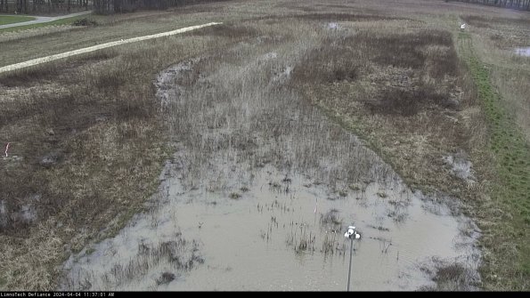 Cell 1_24-04-04_11-37-01-50