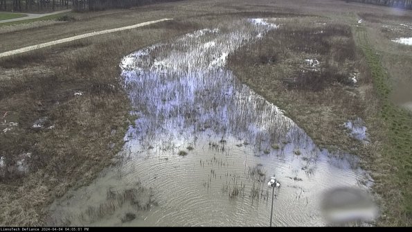 Cell 1_24-04-04_16-05-01-50